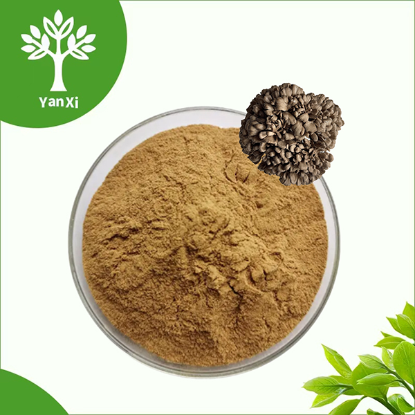 Maitake Mushroom Extract Powder Maitake Mushroom Extract Powder